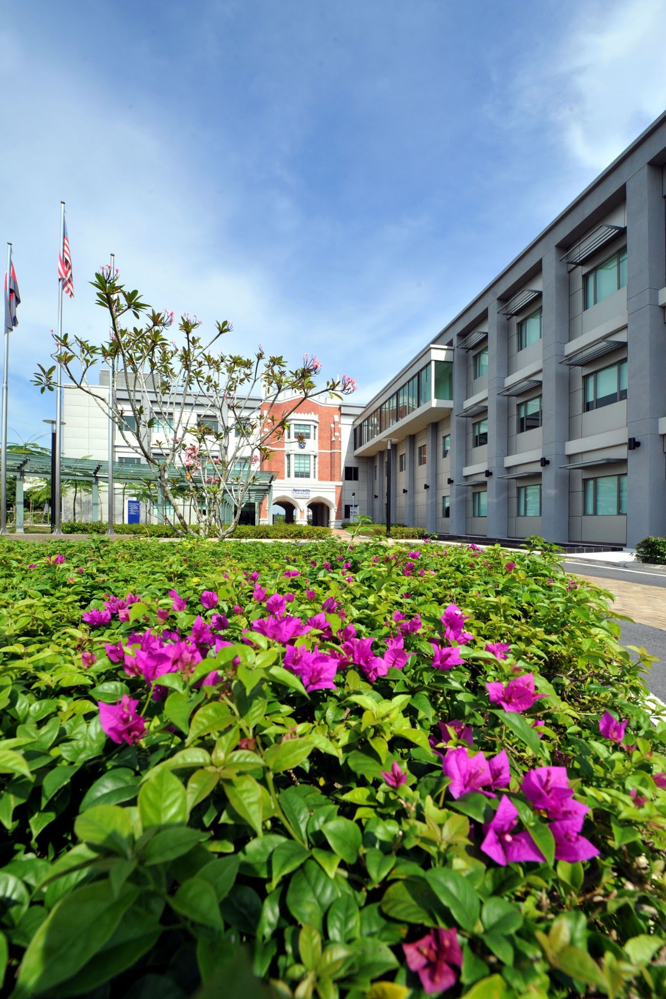 Campus thumbnail 5